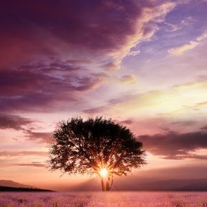 Meet your Posher, Imani